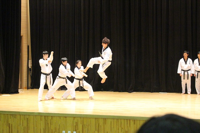 Kampfsport Korea
