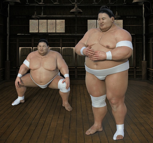 ringer-sumo